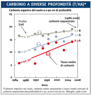 carbonio spagna fig 2