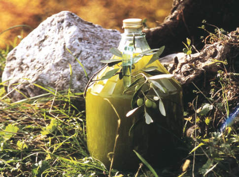 contraffazione olio di oliva