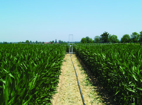 irrigazione moderna