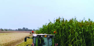 biomasse agricole
