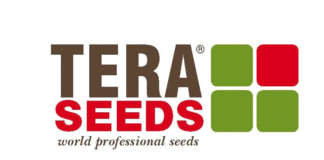 tera seeds