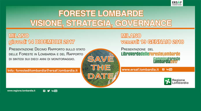 Foreste lombarde, Milano 19 gennaio 2018