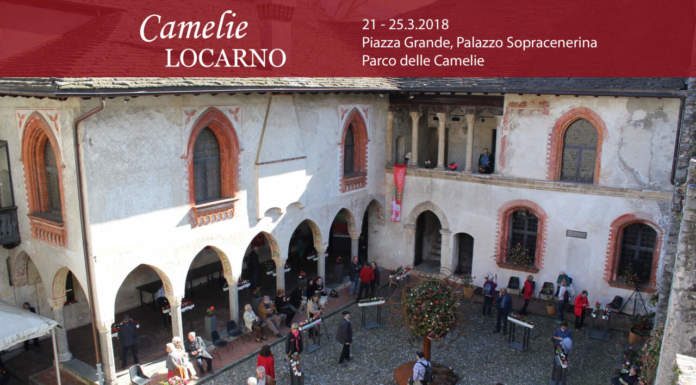 Camelie Locarno dal 21 al 25 marzo 2018