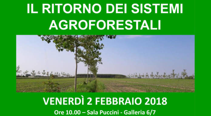 Convegno sui Sistemi Agroforestali, Fiera Agricola Verona