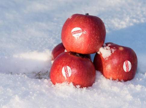 mesfruits crimson snow mela