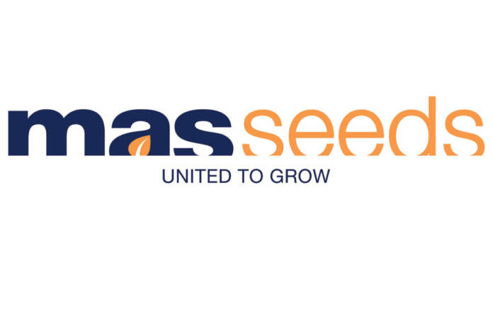 nuovo marchio mas seeds