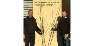 bibaum Michelangelo Leis e Albert von Sontagh