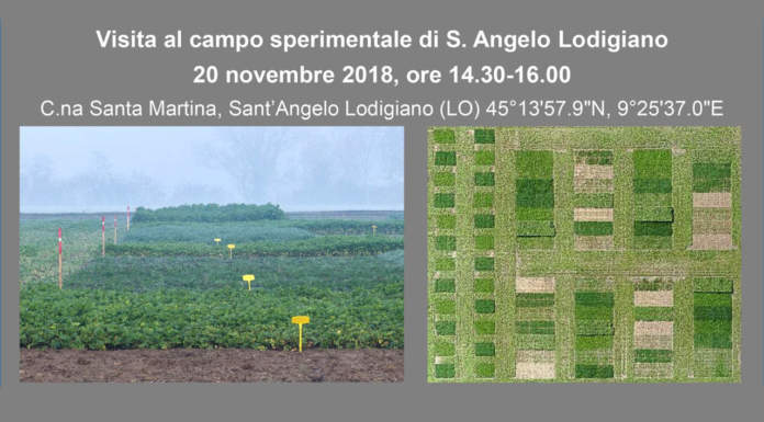 Progetto CoCrop: 20 novembre visita al campo sperimentale di S. Angelo Lodigiano