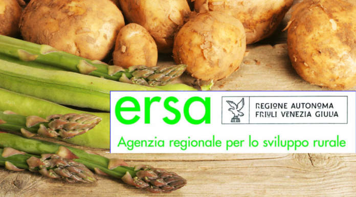 Risultati della sperimentazione orticola 2018 in FVG a Pozzuolo del Friuli