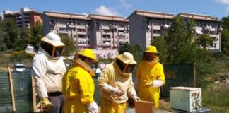 progetto api e orti urbani
