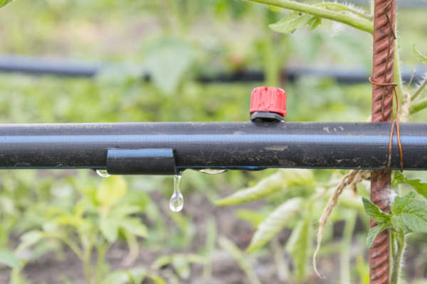 irrigazione