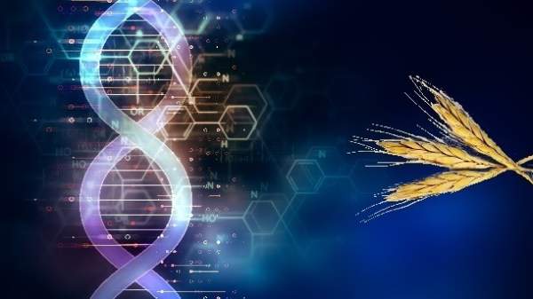 Genome editing, se non ora quando?
