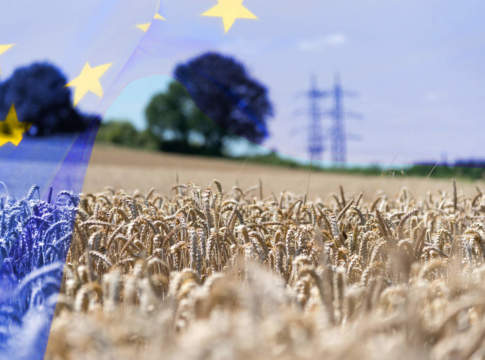 agricoltura europea
