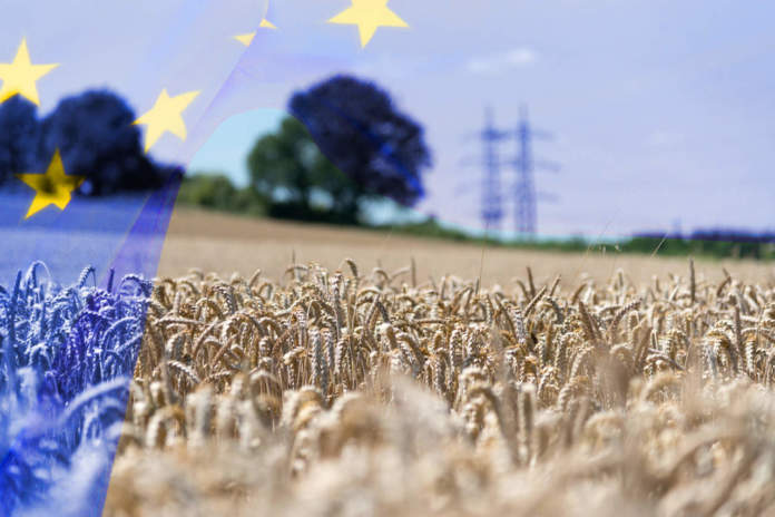 agricoltura europea