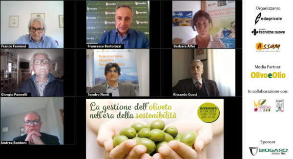 webinar olivicoltura sostenibile