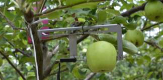 irrigazione frutteto