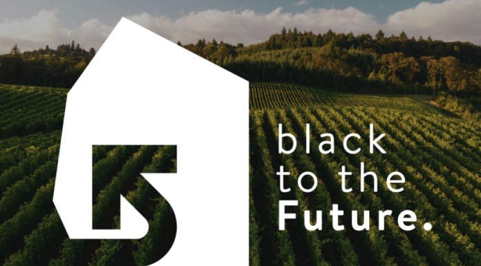 Webinar “Black to the Future"