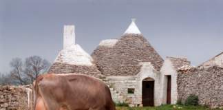 edifici tipici agricoli