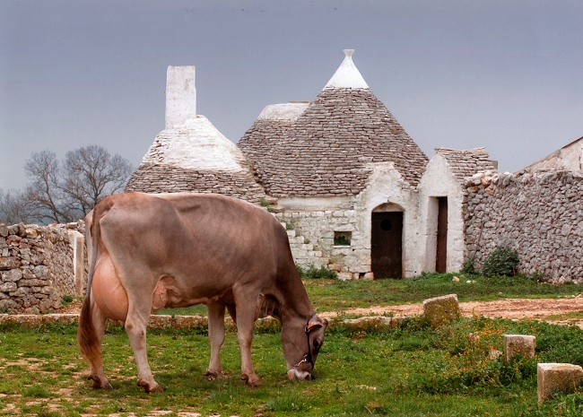 edifici tipici agricoli