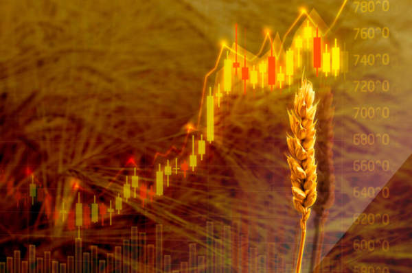 Commodity, i future come strumento per difendersi dalla volatilità