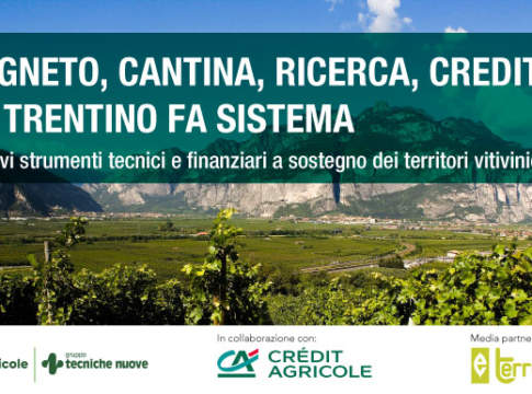 Convegno "Vigneto, cantina, ricerca, credito: il Trentino fa sistema"