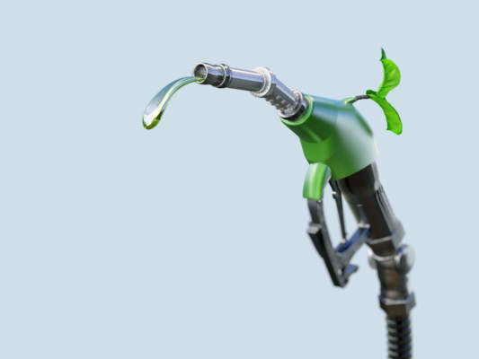Il G7 Ambiente riapre la porta ai biocarburanti
