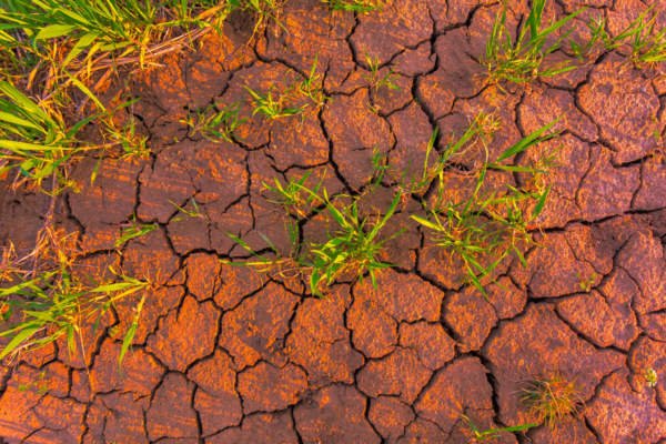Terra senza acqua. Contro la siccità Agricoltura 4.0 e gestione circolare