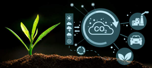 Carbon farming, verso un sistema di regole condivise