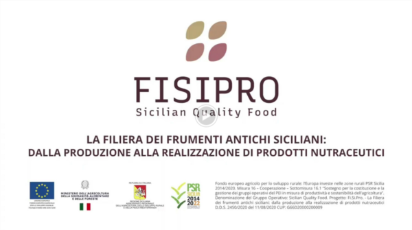 fisipro video