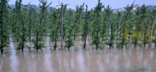 Alluvione, verso il Consiglio dei ministri. Le richieste delle Organizzazioni agricole