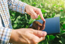 digitalizzazione agricoltura