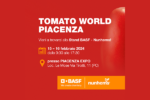 basf tomato world