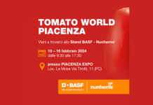 basf tomato world